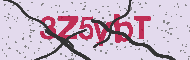 Captcha認証コード